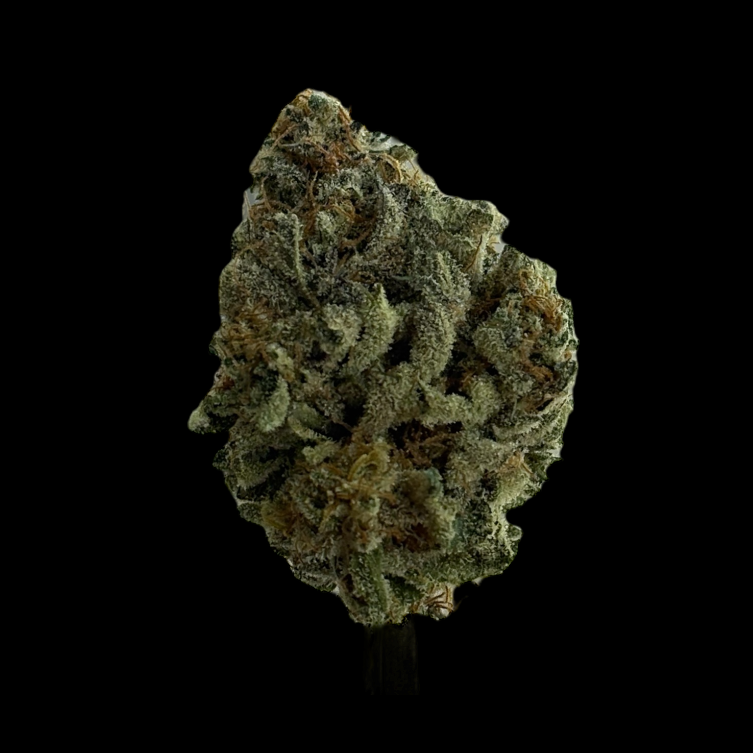 Photograph of product: OC Oranges - 28g