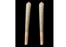 Photograph of Product: GL Bud Joint | 2 Half Mendo Party