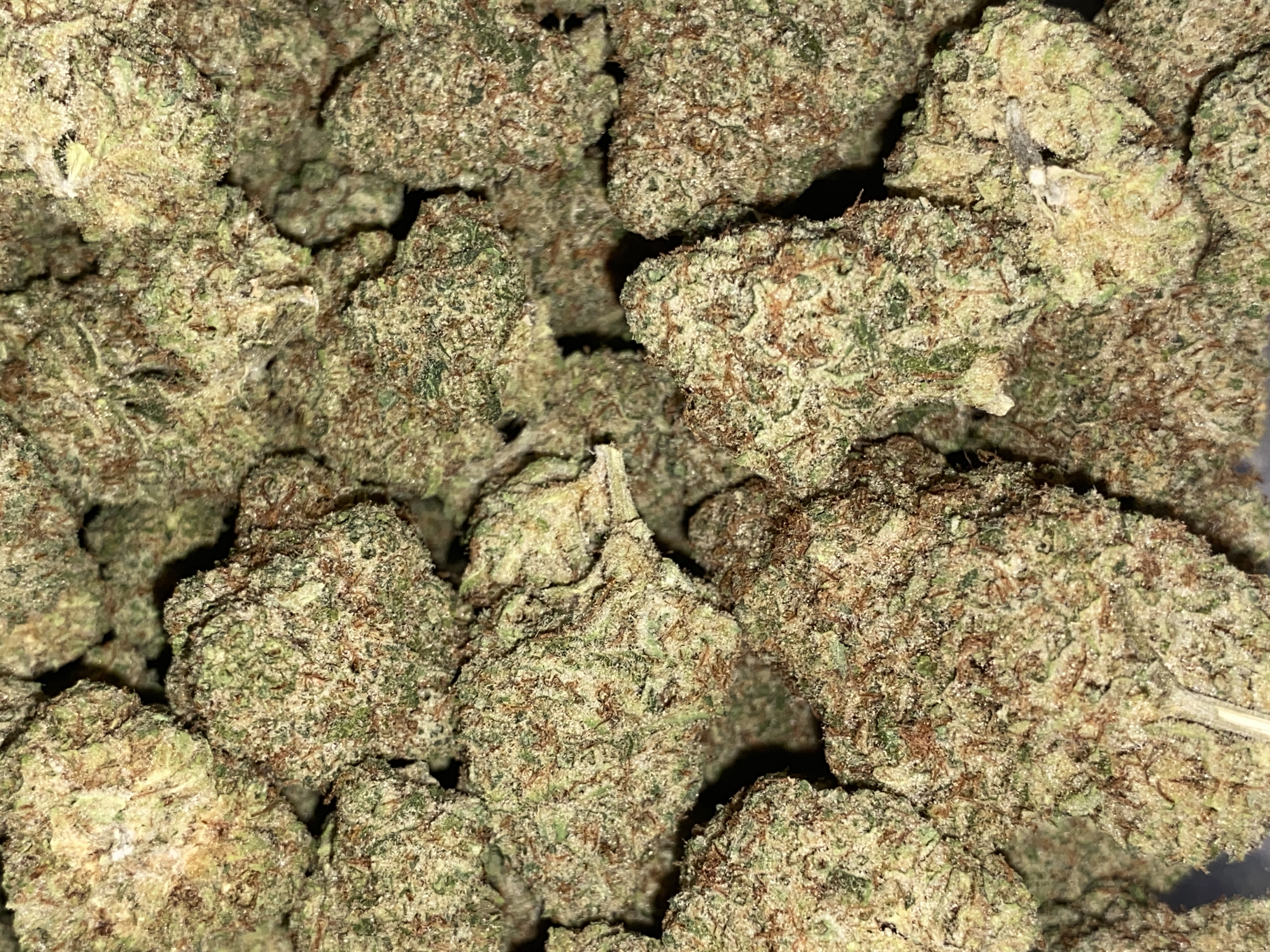 Photograph of product: Lemon Drop | Premium Flower - 28g