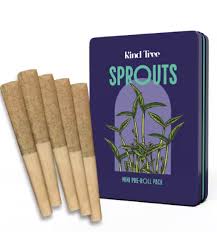 Photograph of product: Kind Tree Sprout Multipack | Bubblegum Wedding | 5pk/1.75g (Hybrid)