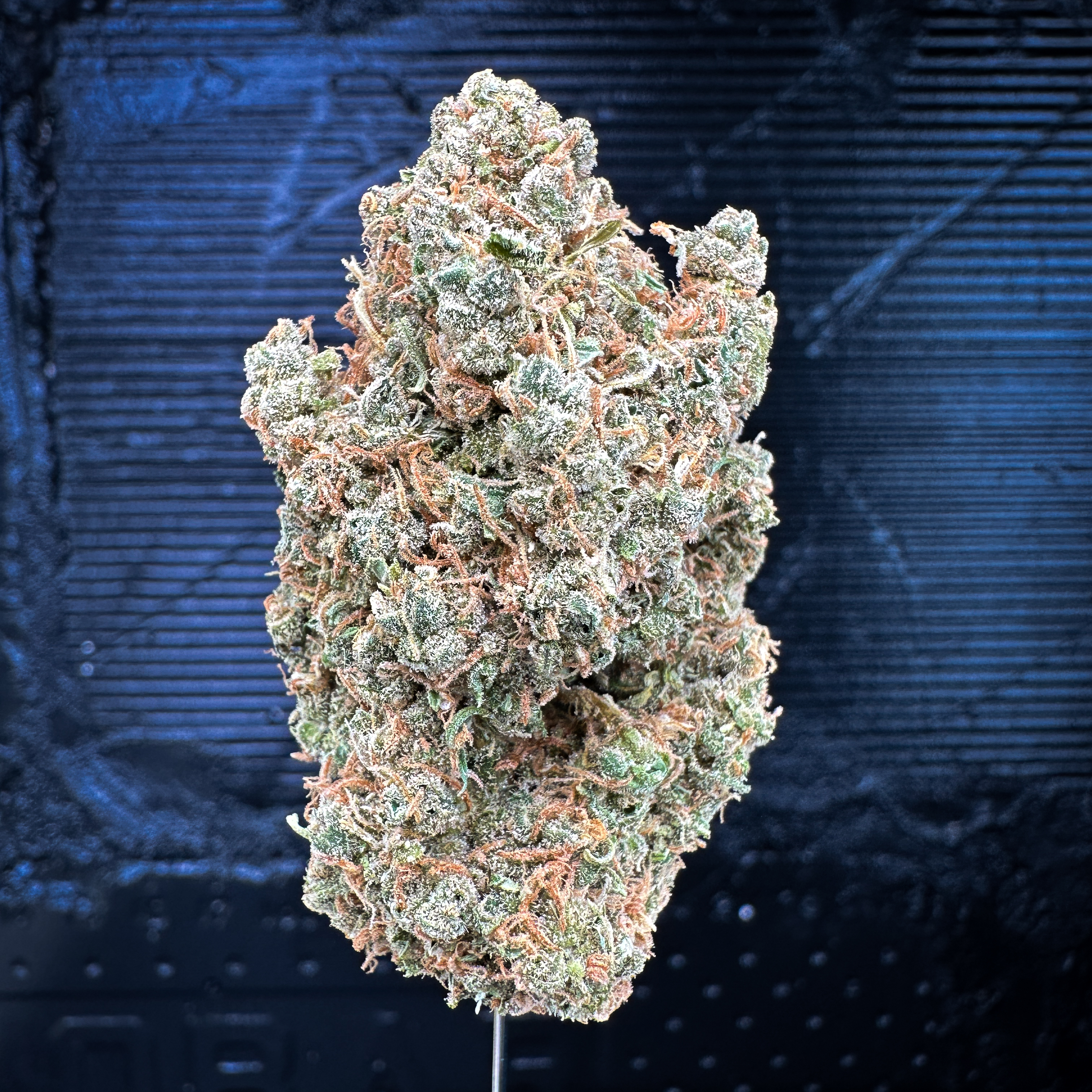 Photograph of product: Durban Poison - 14g