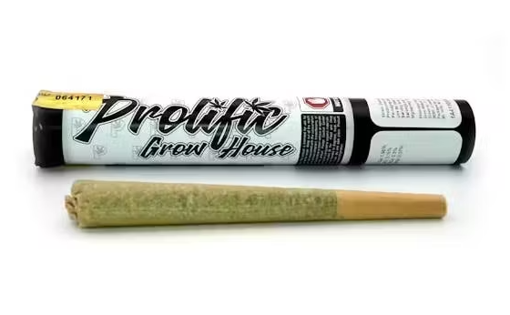 Photograph of product: GMO Cake- 1pk/1g