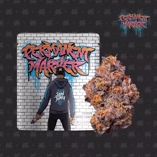 Photograph of product: SEED JUNKY | PERMANENT MARKER - PREPACK HYBRID - 3.5g