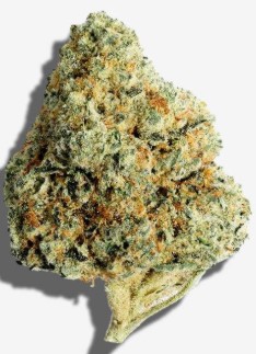 Photograph of product: 24K - 3.5g