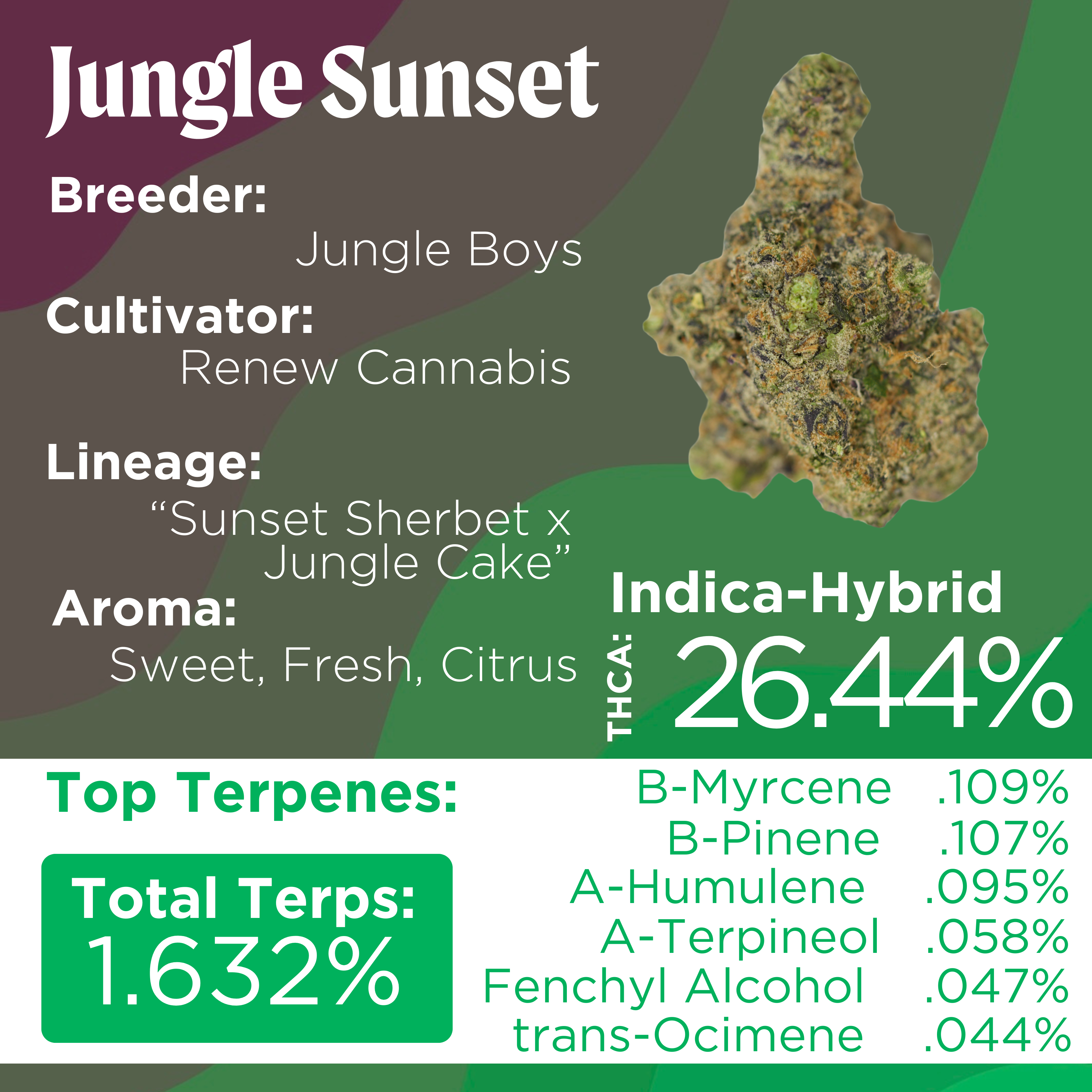 Photograph of product: Deli Style | Jungle Sunset | Oui'd Hybrid - 28g