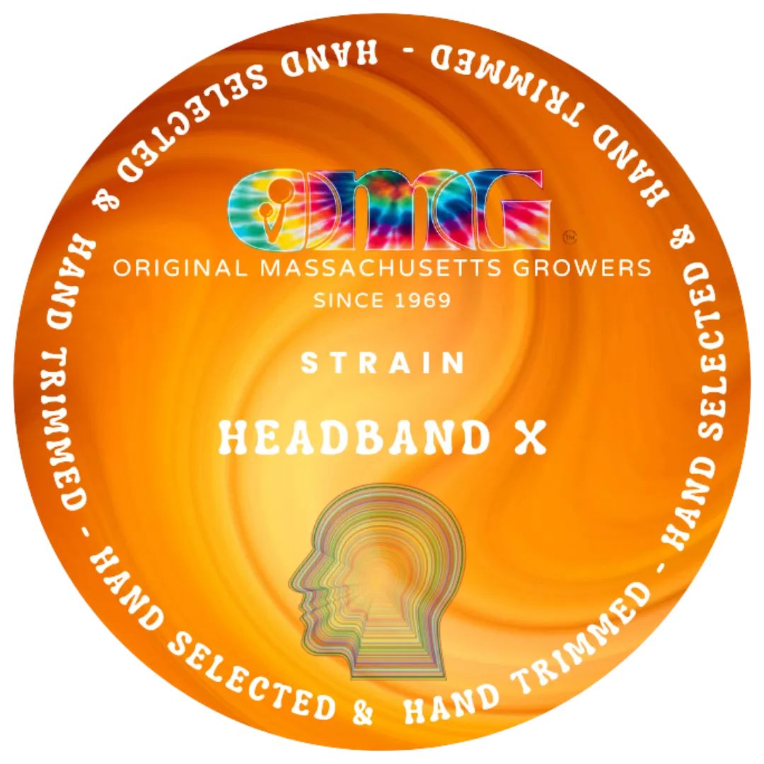 Photograph of product: Headband X - 3.5g