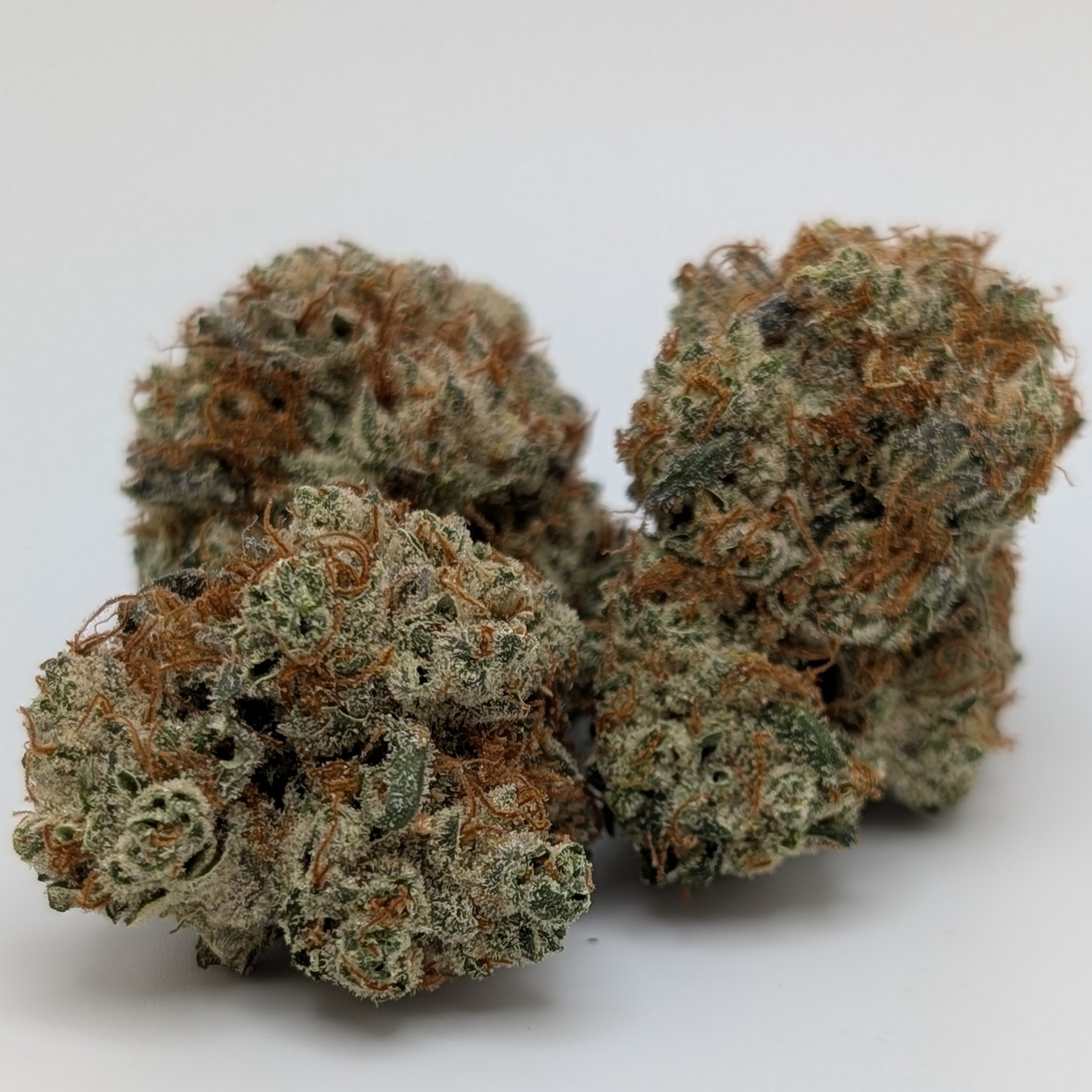Photograph of product: Juggernaut 3.5g (Bushy)