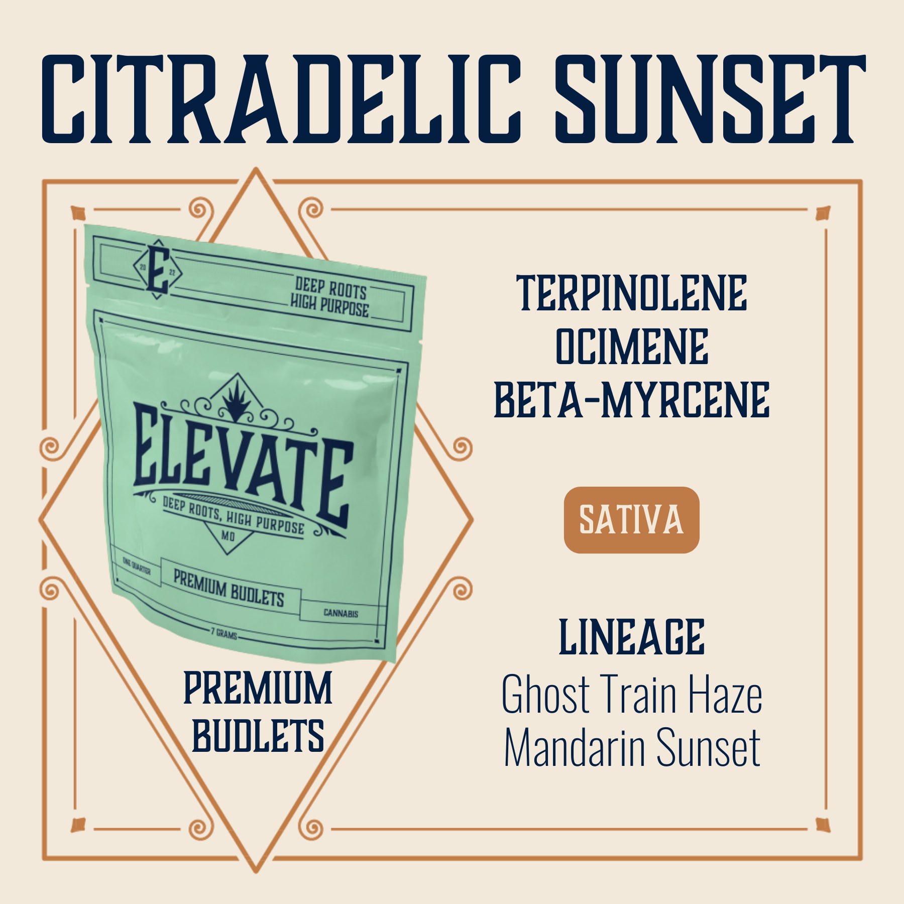 Photograph of product: Citradelic Sunset Budlets | 7g