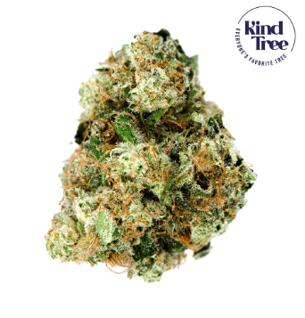 Photograph of product: Kind Tree l Afghani Pre Rolls l 5pk l 1.75g