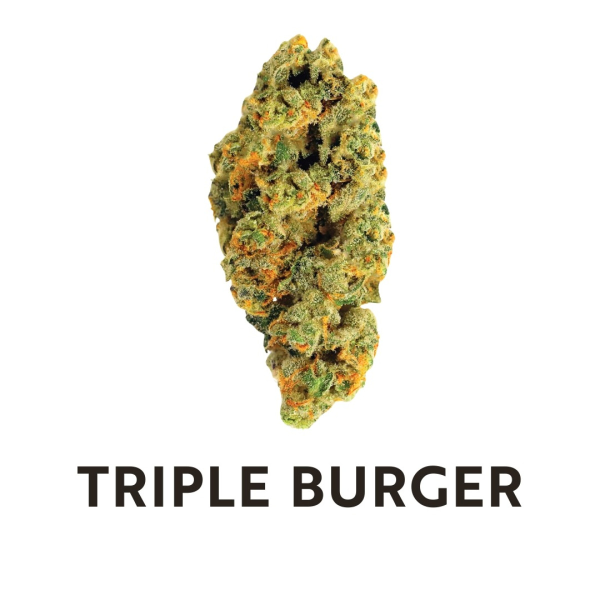 Photograph of product: Amaze Oui'd - Triple Burger - 3.5 - 3.5g