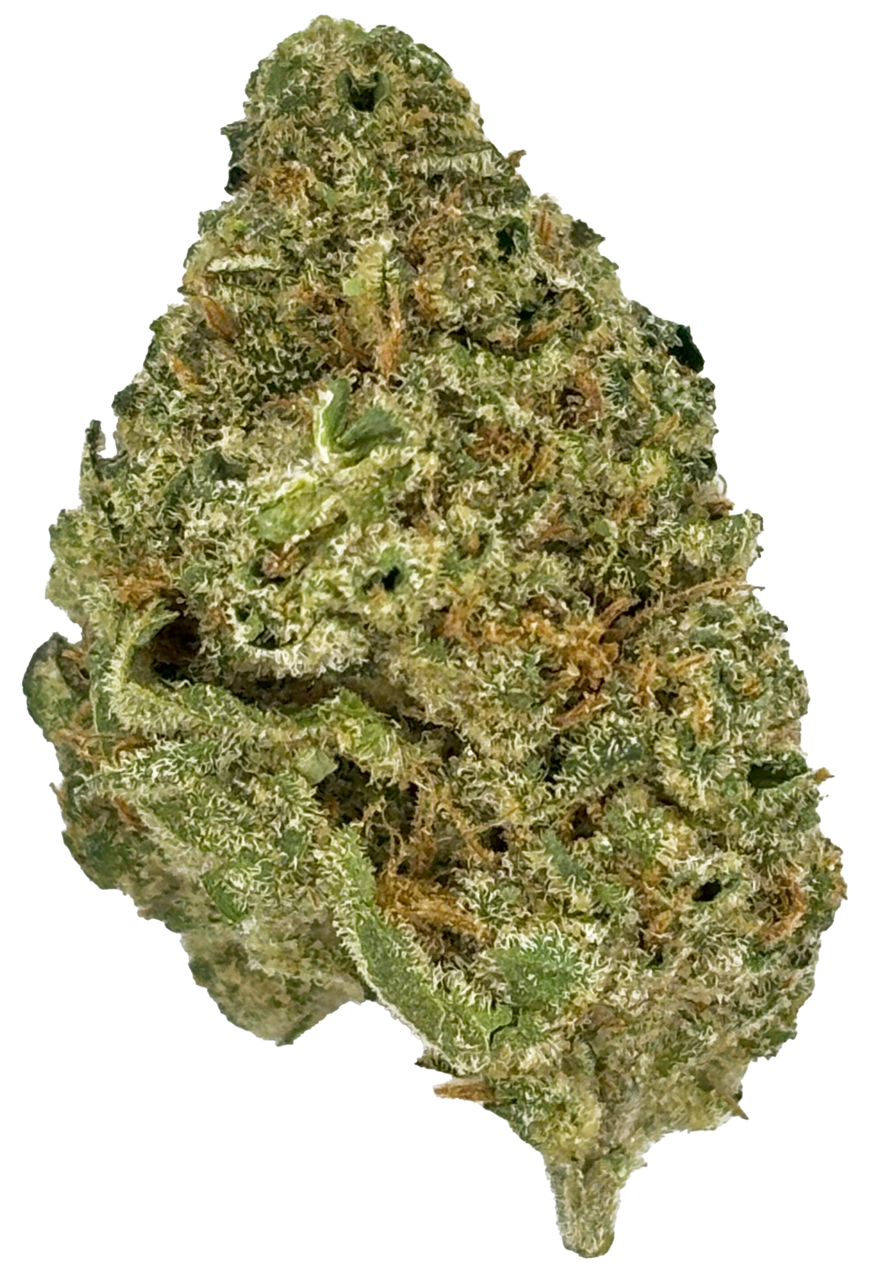 Photograph of product: Common Citizen | Cookies And Chem | Boutique Deli Flower - 1g