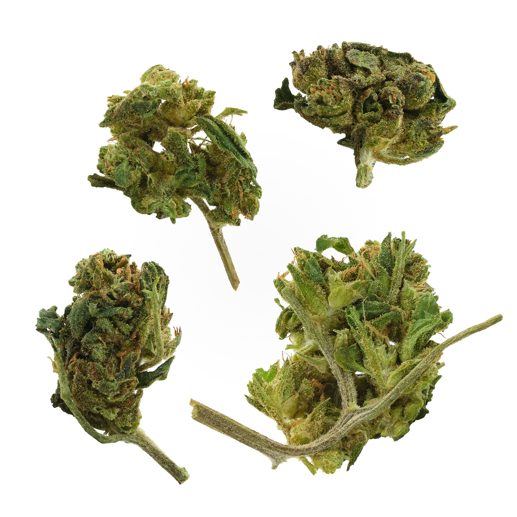Photograph of product: GMO Outdoor Flower - 14g