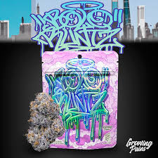 Photograph of product: Growing Pains | Bolo Runtz | 3.5g | Pre-Pack Flower