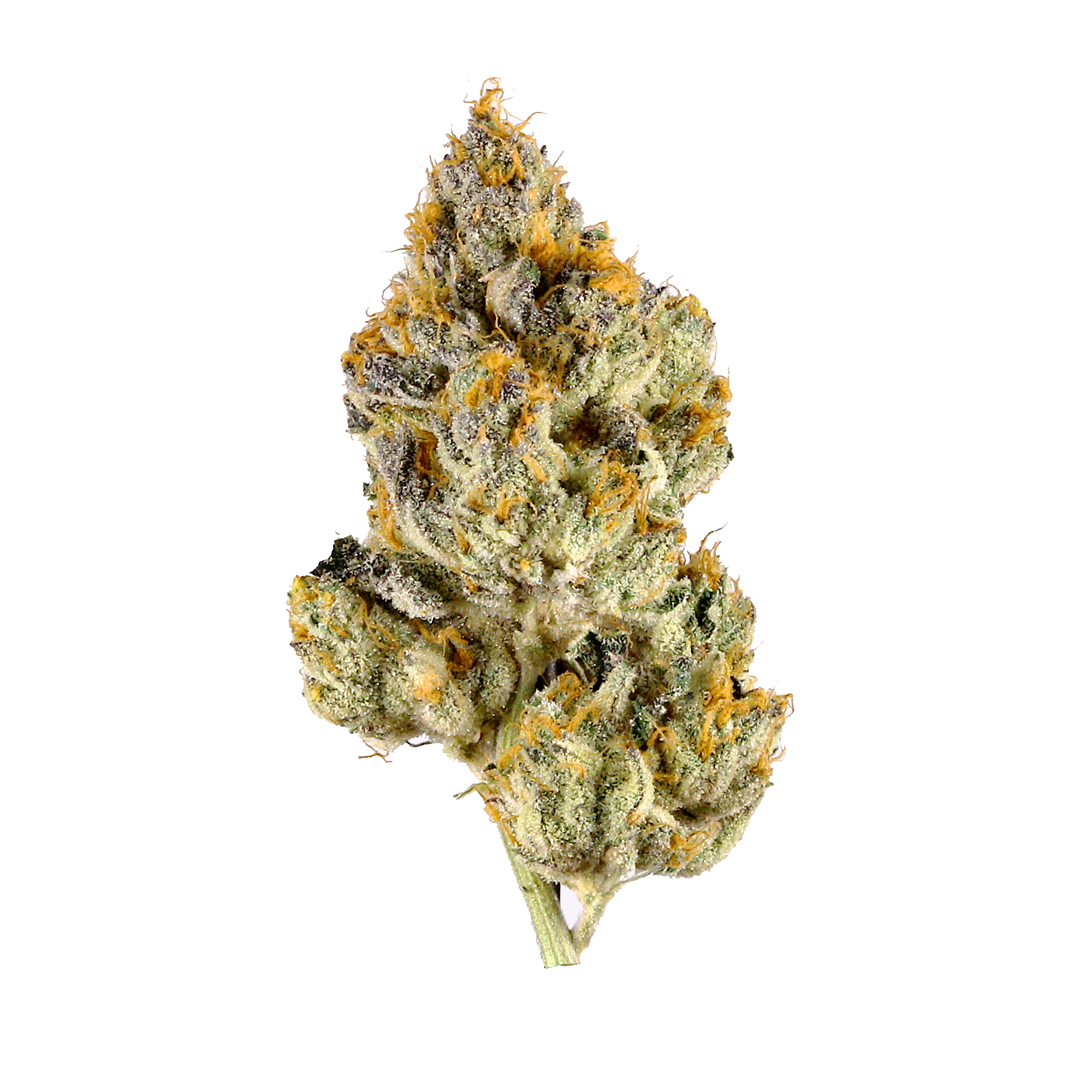 Photograph of product: Lemon Cherry Gelato | Buds | 22.70% | Hybrid - 28g