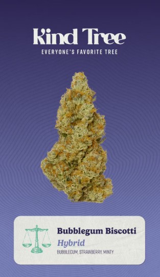 Photograph of product: | Kind Tree | Bubblegum Biscotti | Flower | 3.5g | Hybrid