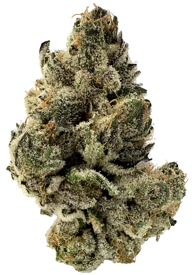 Photograph of product: CBX | Zatomic | 3.5G