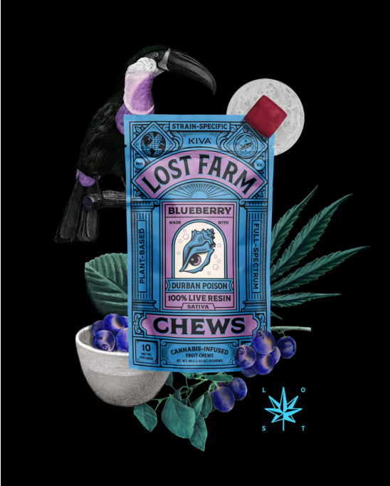 Photograph of product: Kiva (Lost Farm) - Live Resin Chews - Blueberry - 10ct (100mg)