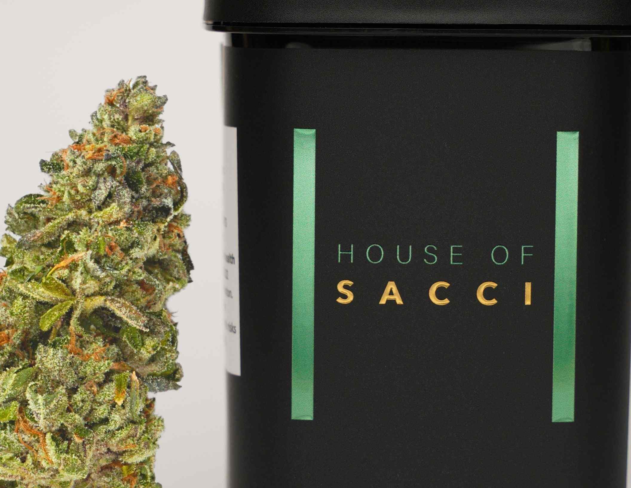 Photograph of product: HOUSE OF SACCI | JAR FLOWER | NYC VAPOR MR8-B - 3.5g