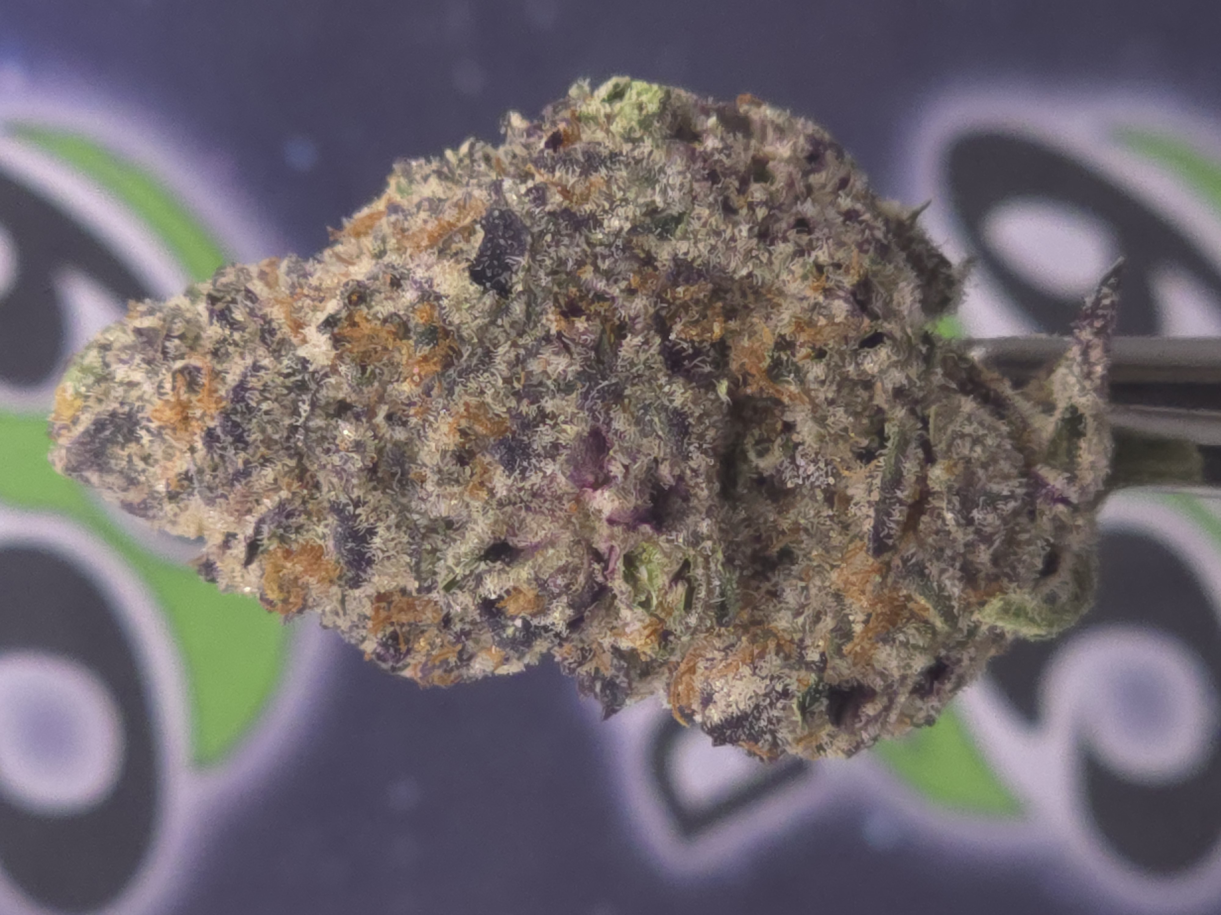 Photograph of product: Glorious Oui'd Co. | Glitter Bomb X Sweet Tea Prepack - 3.5g