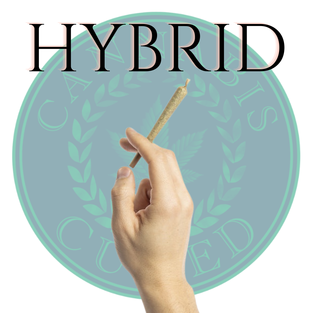 Photograph of product: Apple Tartz  Pre-Roll