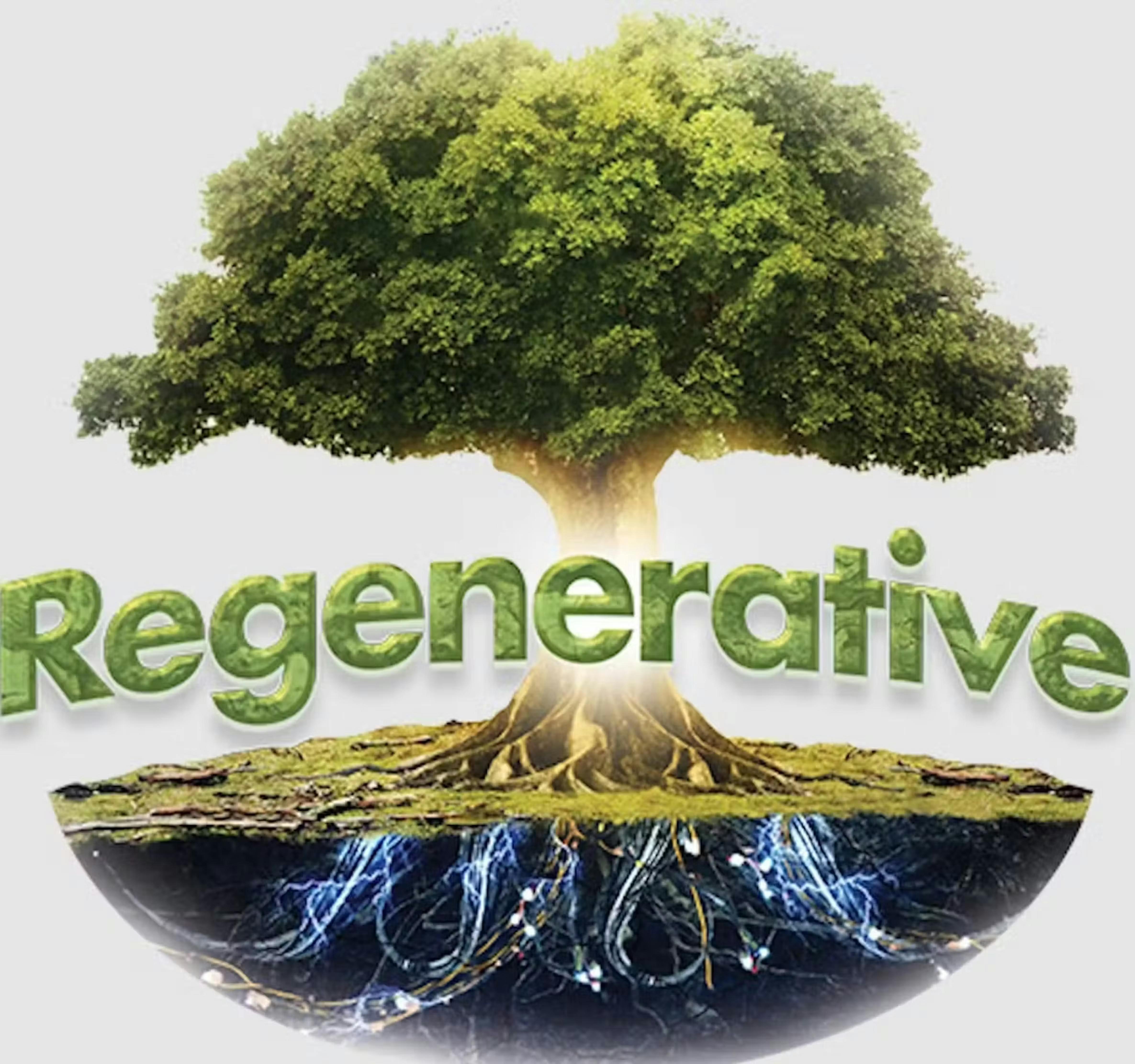 Photograph of product: Cherry Diesel x Dead Smooth | 1g Live Badder - 