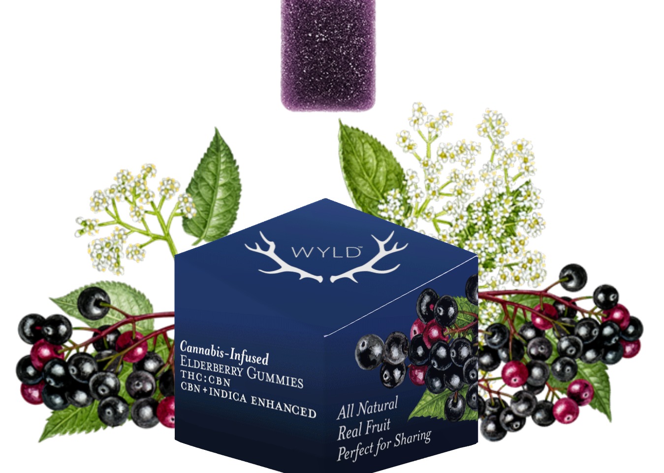 Photograph of product: Wyld - Elderberry Gummies 2:1- 100mg