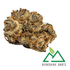 Photograph of product: Mandarin Cookies (H) - 3.5g