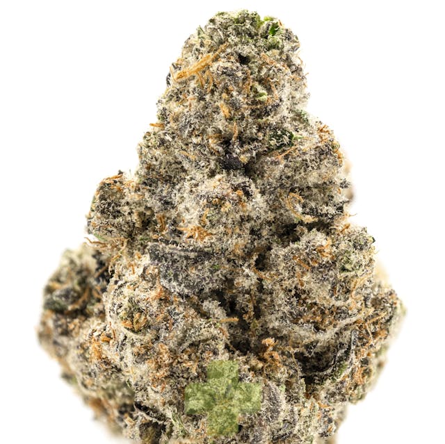 Photograph of product: White Lobster - Eighth