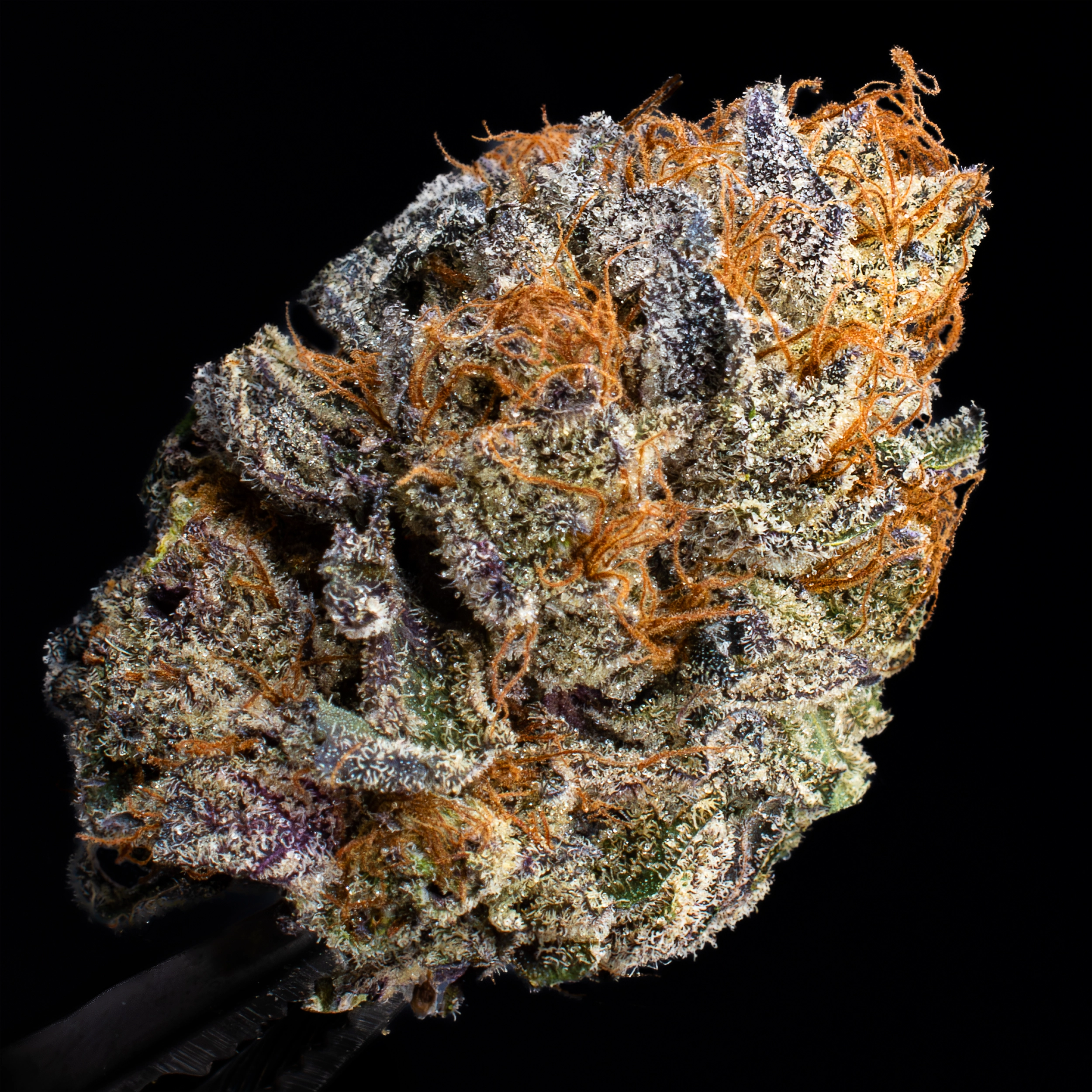 Photograph of Product: 3.5g Fire as Fuck - Living Soil Cannabis - Upstate Elevator Operators