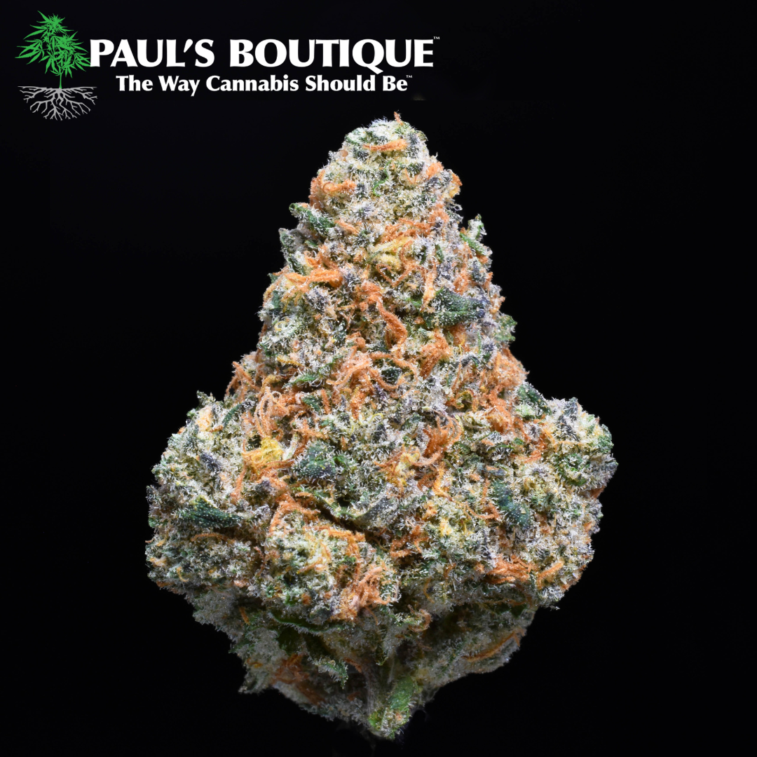 Photograph of product: Paul's Boutique - Thai x ECSD - 3.5g