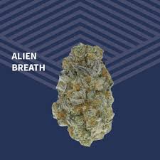 Photograph of product: Alien Breath Whole Flower - 7g