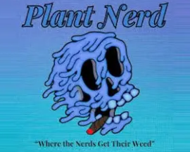 Photograph of product: Lil' Nerds | Platinum Pave | Flower-Smalls | 28g