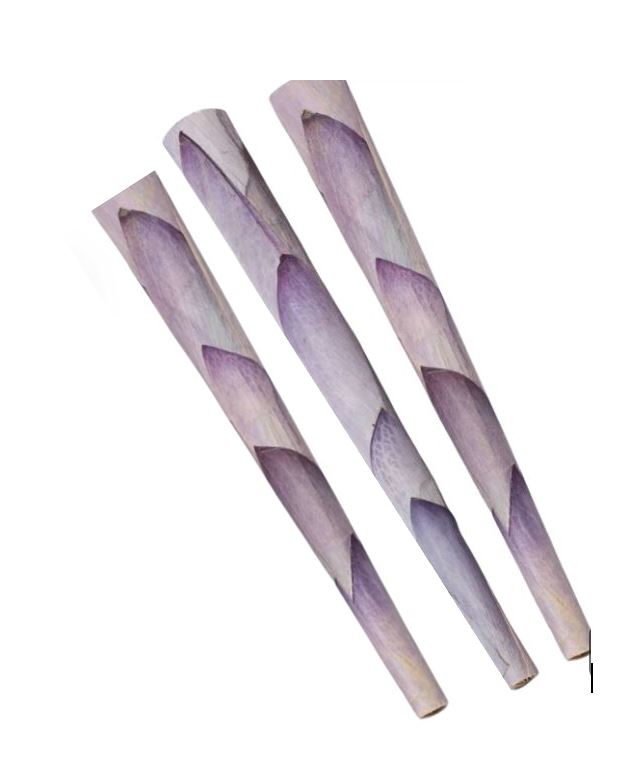 Photograph of product: PETALS Mini Lotus Cones 3pk