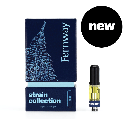 Photograph of product: Space Queen - 510 Cartridge - 1.0g