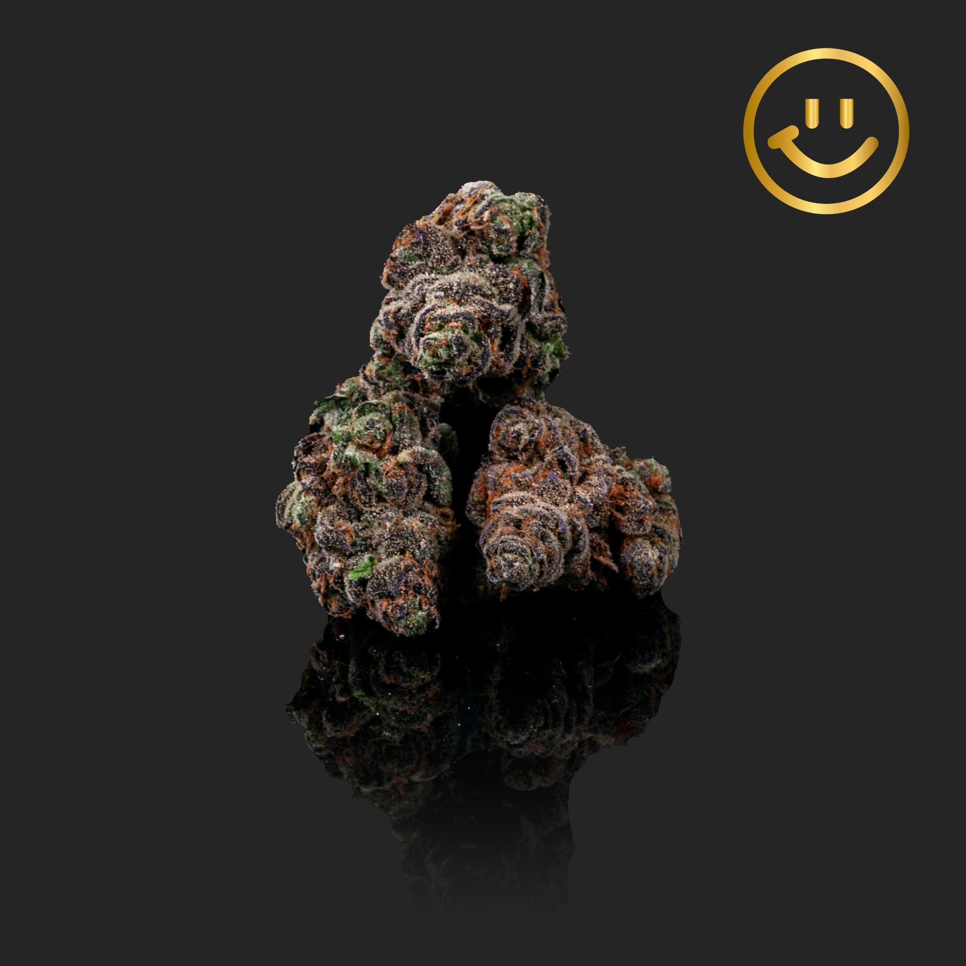 Photograph of product: The Heights Co | Piescream | indoor flower