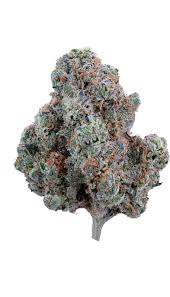 Photograph of product: Glorious | Terpee Slurpee | 28G Flower