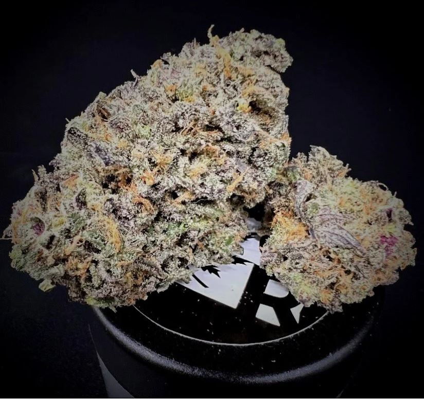 Photograph of product: Alien Dreams by Oregon Roots
