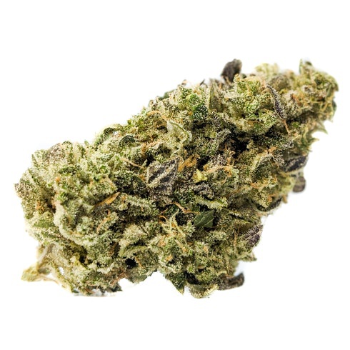 Photograph of product: GLORIOUS | Bulk Flower | First Class Funk - 1g