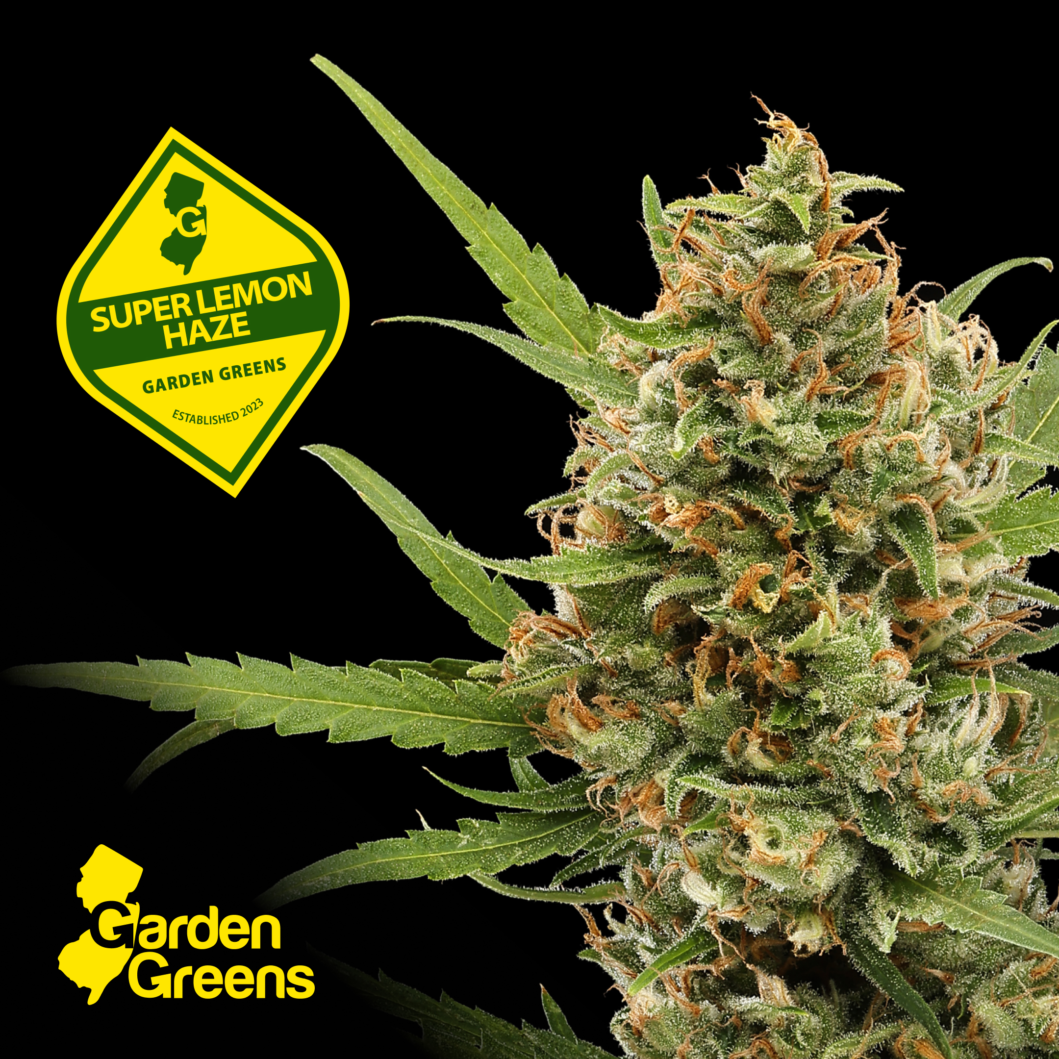 Photograph of Product: Garden Greens Super Lemon Haze Pre-roll 2pk (REC)