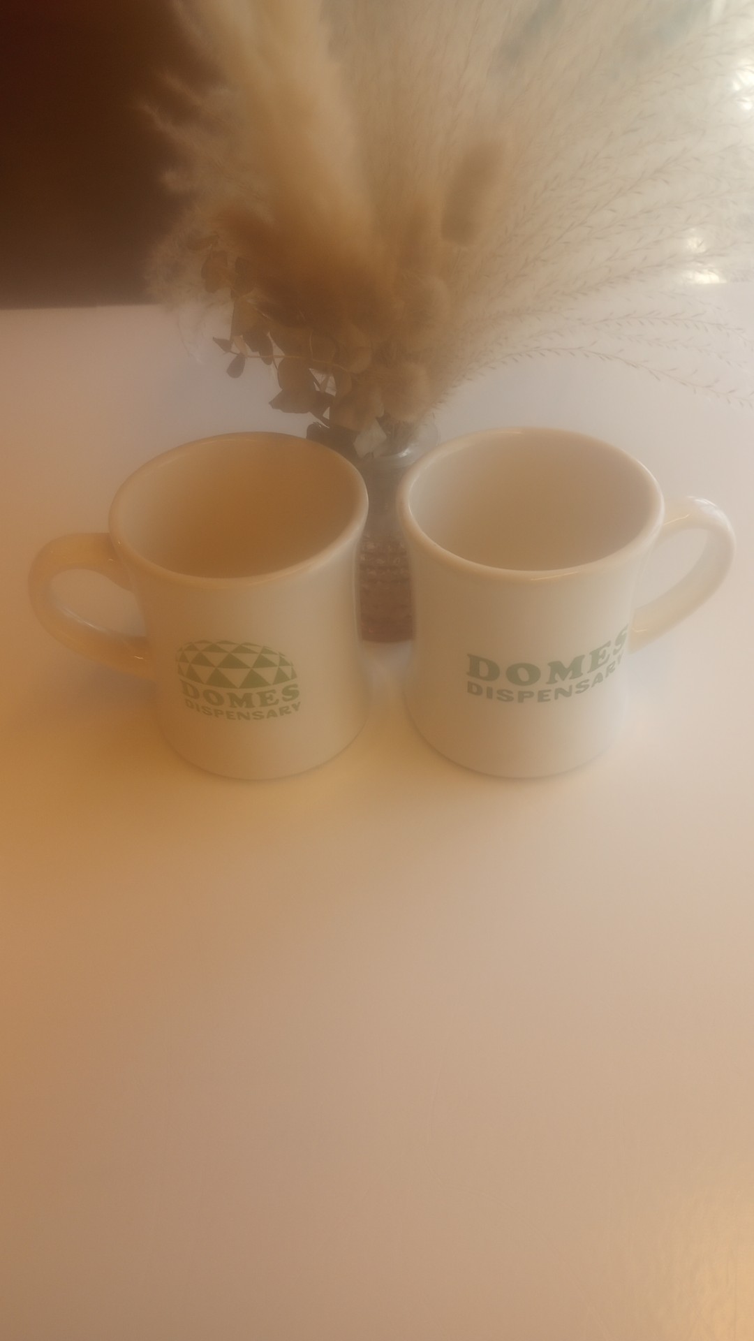 Photograph of product: Domes | Mug