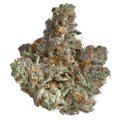 Photograph of product: Goldkine Biscotti Pancakes Prepack Rec - 3.5g