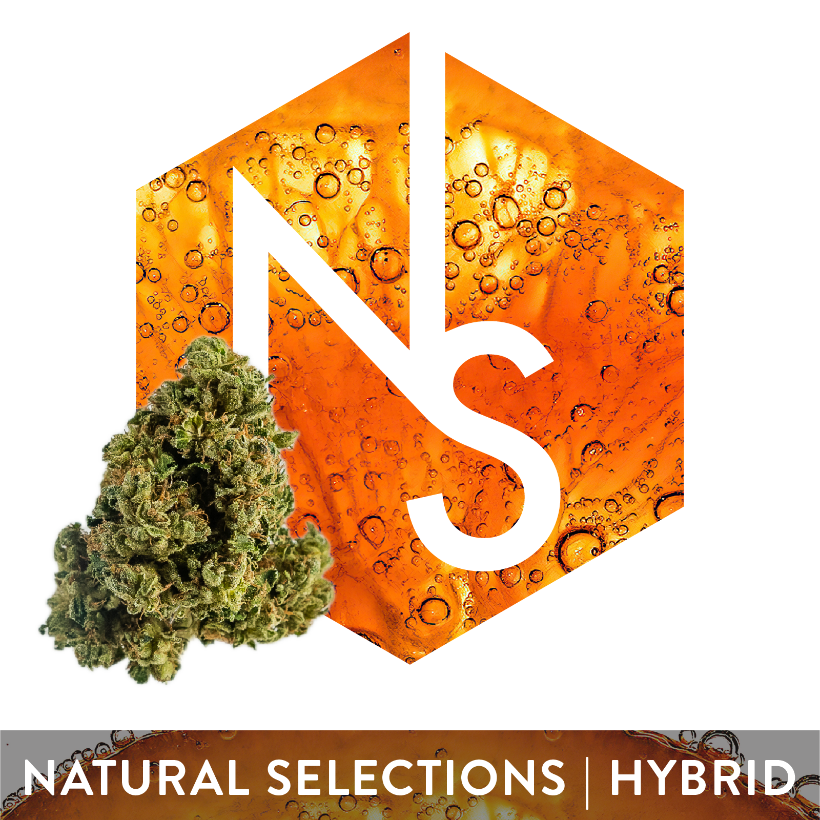 Photograph of product: Natural Selections Garlic Juice 3.5g