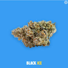 Photograph of product: Buoyant Bob - Black Ice - Deli Flower - 84g