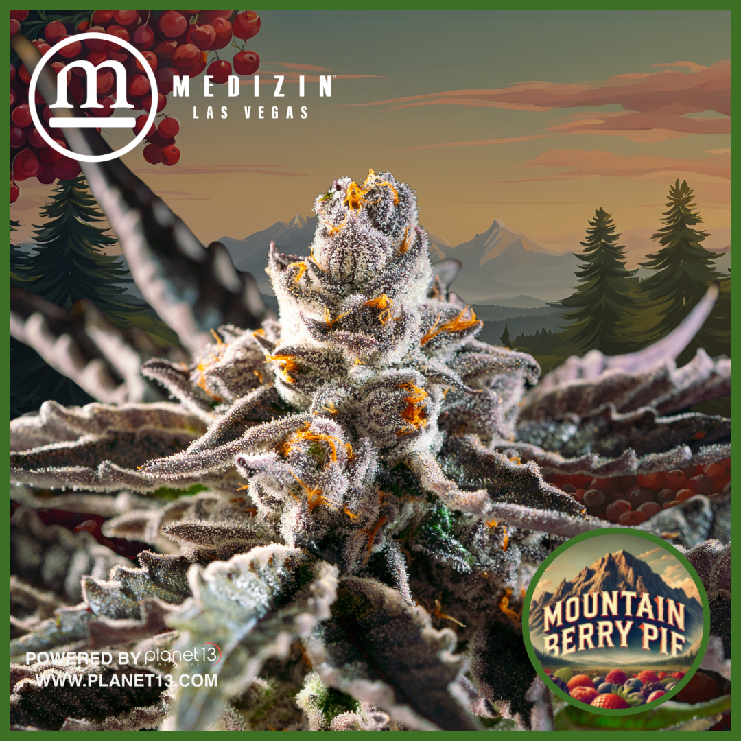 Photograph of product: Mountain Berry Pie 3.5g Prepack