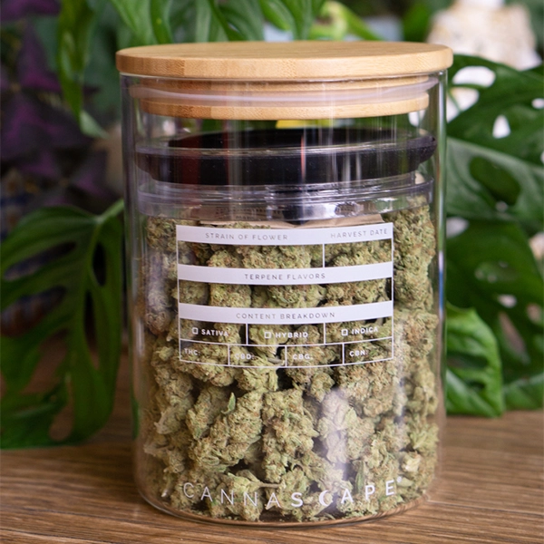 Photograph of product: Glass Stash Jar 64oz - Cannascape