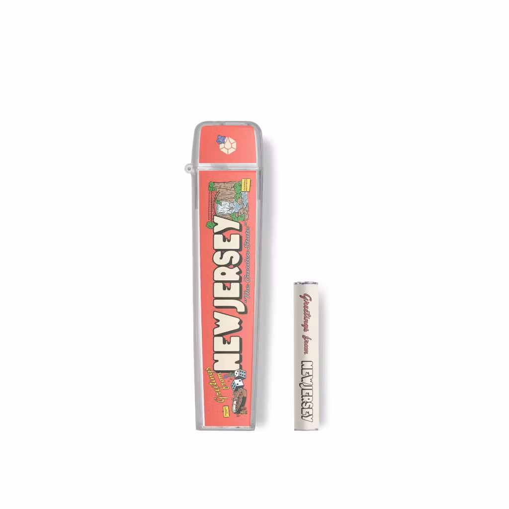Photograph of product: Timeless Flip Case Battery Combo l NJ Limited Edition l 1g