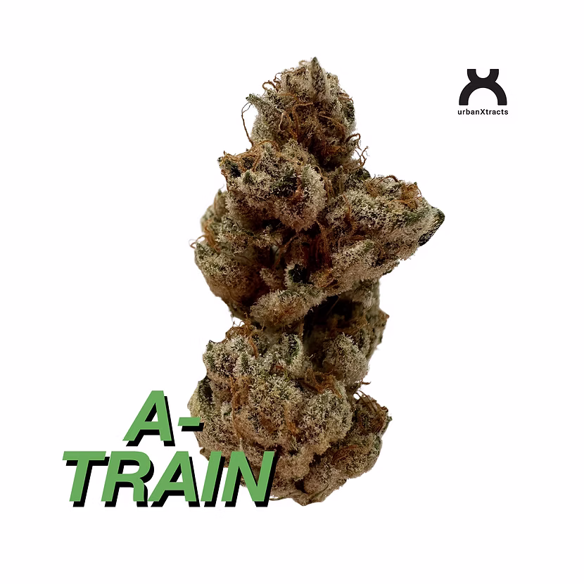 Photograph of product: UrbanXtracts | Flower | A-Train - 3.5g