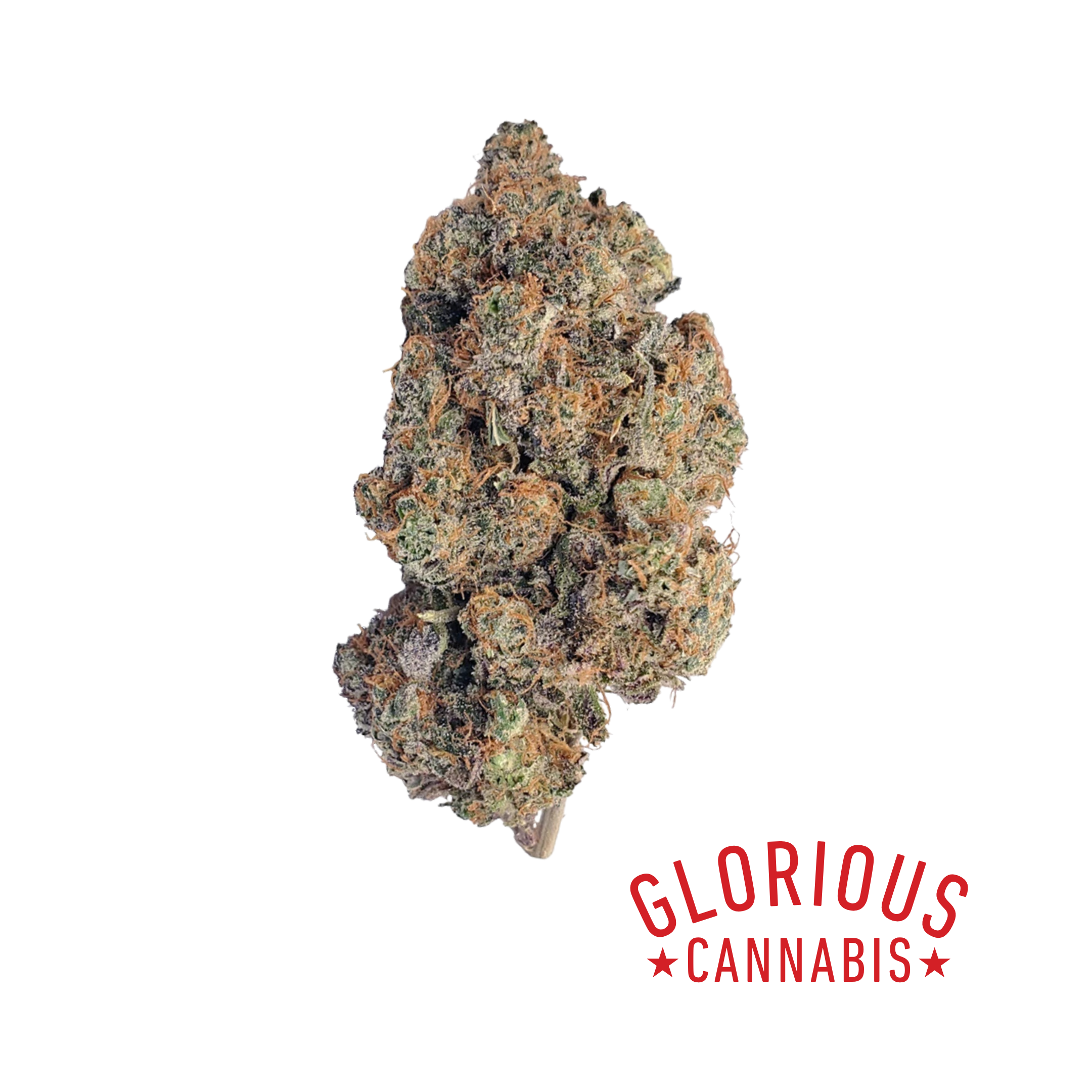 Photograph of product: Dat Big Nasty | 3.5g