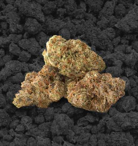 Photograph of product: Legend Flower Smalls 14g- Bone Apple Teet
