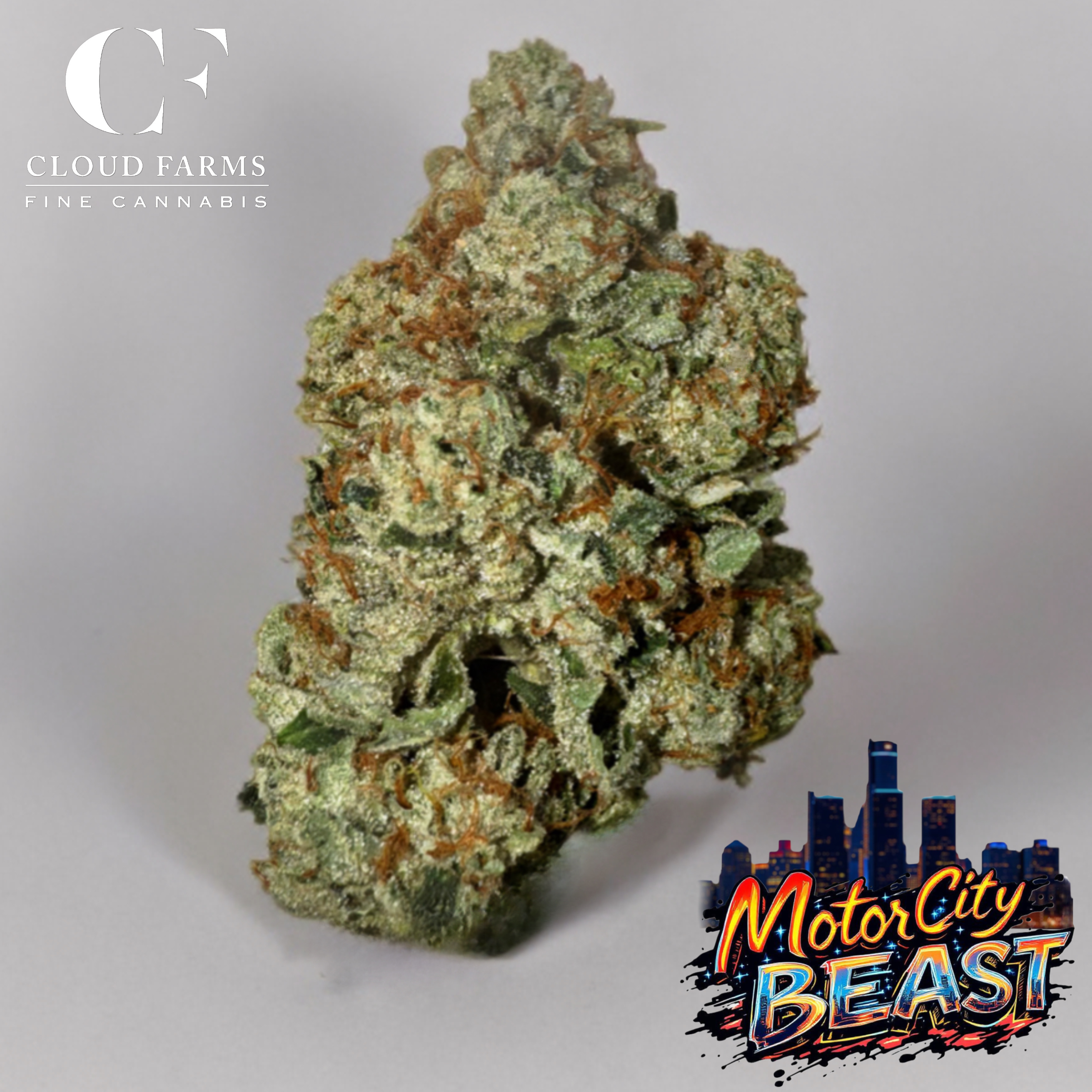 Photograph of Product: Cloud Farms | Motor City Beast - 7g